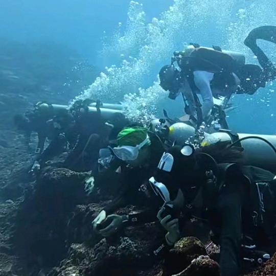 【愆宥..孤行】