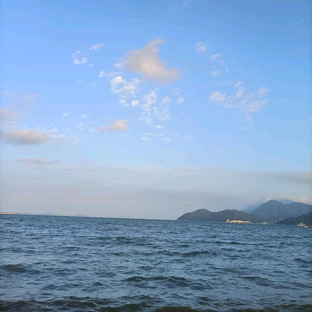 麦子🌸