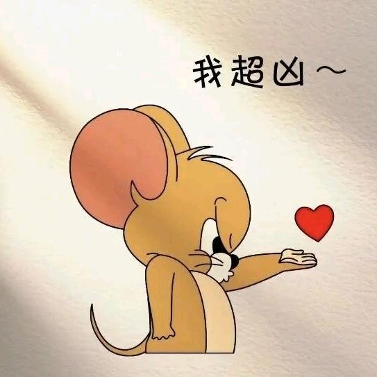 ✨晓风诉情长✨