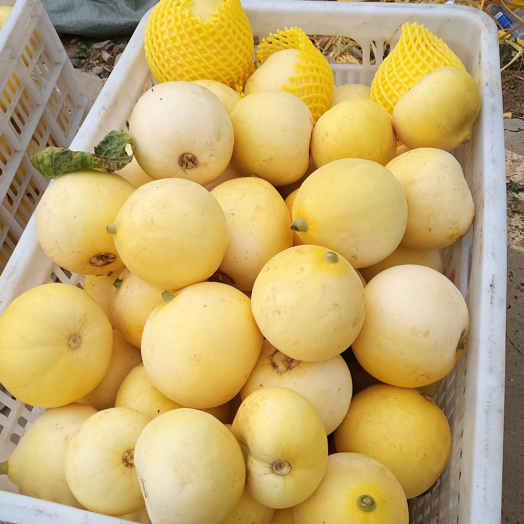 摆个小摊，挣点小钱