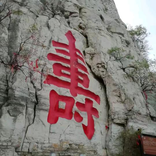 靠山石