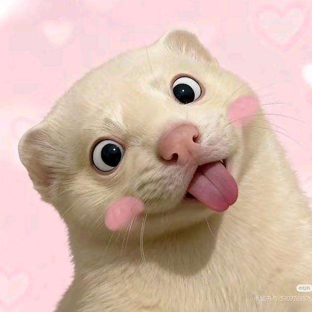 澈.𝓧（天籁）