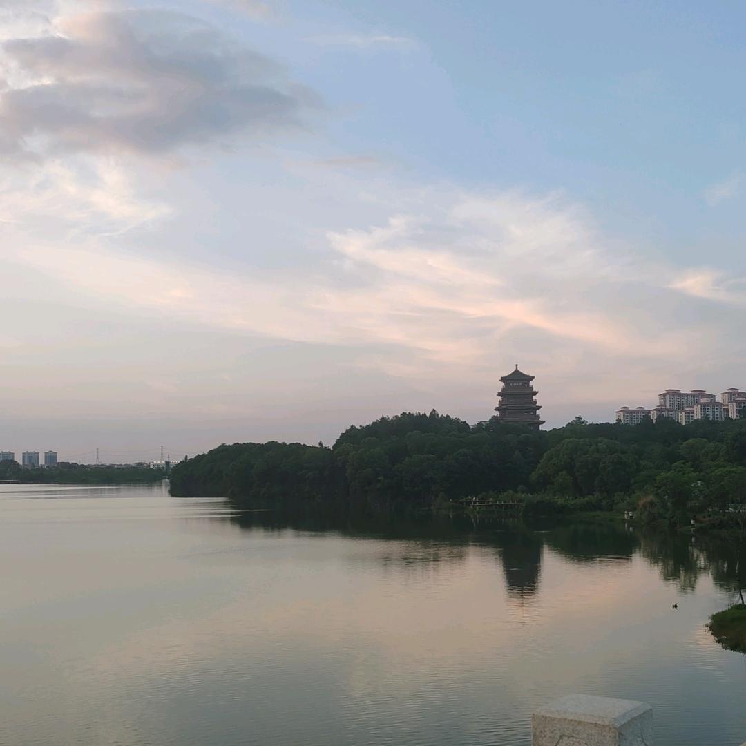 夜！
