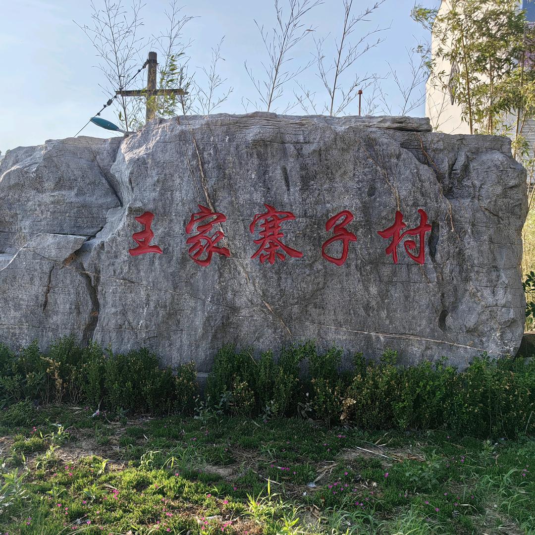 潍坊樱桃王帅