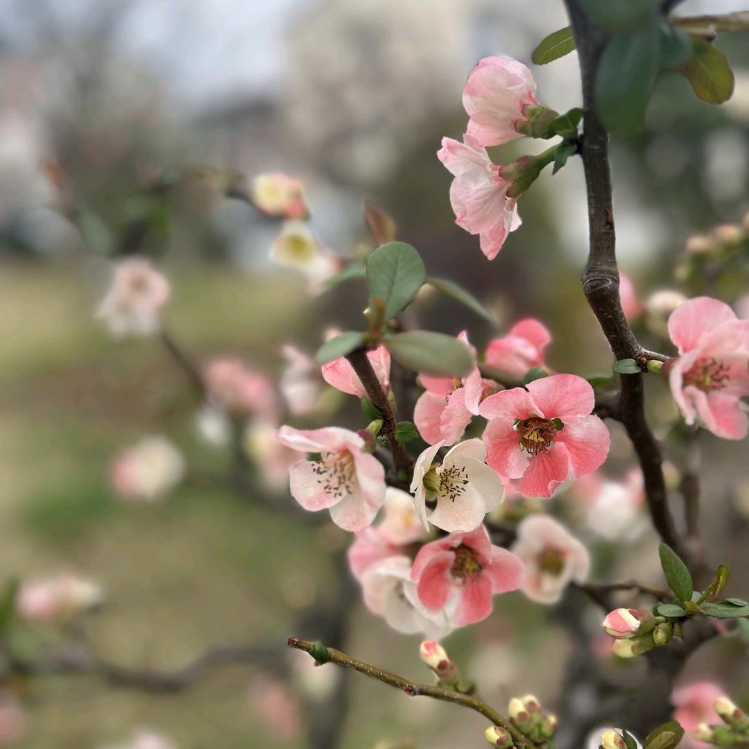 ღ᭄💞张家姑娘໑ຼ₀₂₄💕