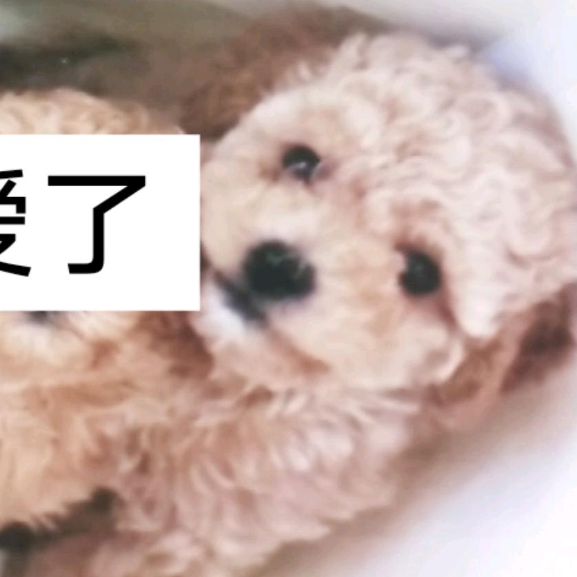 向阳而生，，，