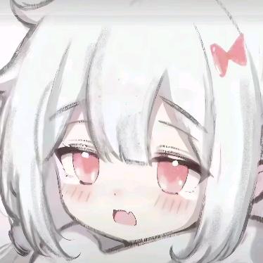 🌺花好月圆🌸