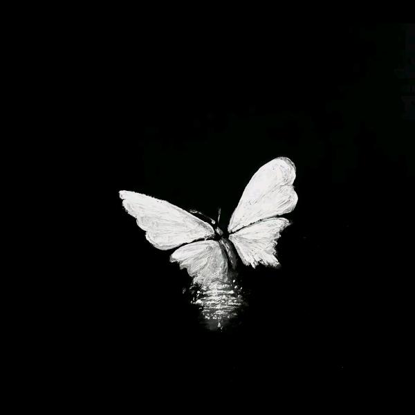 Aminor