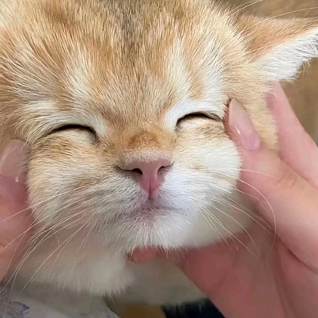 张悠悠.