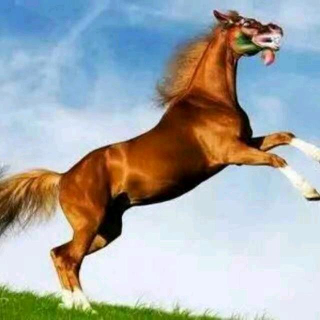 大浪