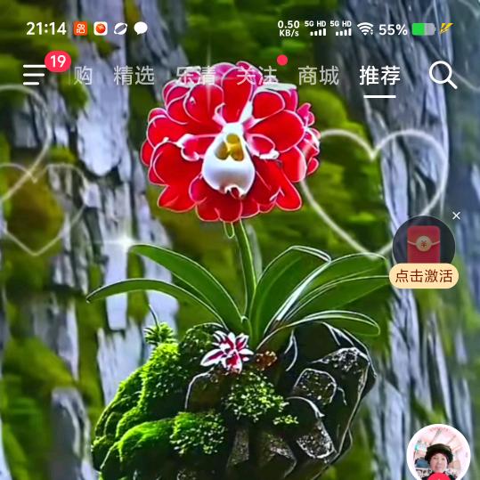 四季如春