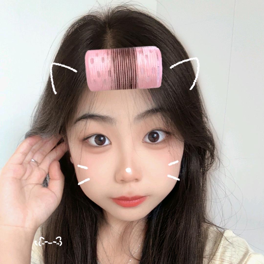小羊驼