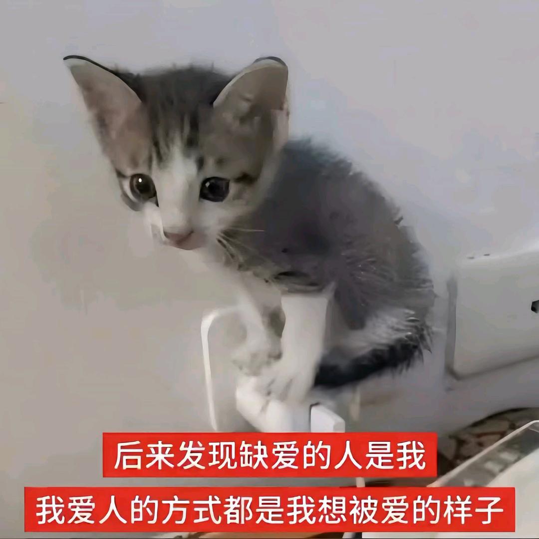 小杨