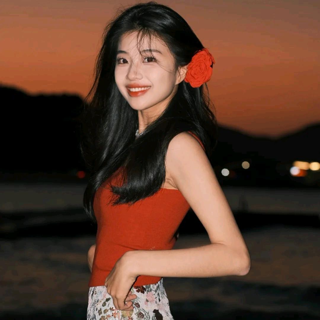 小菊梗的太阳花