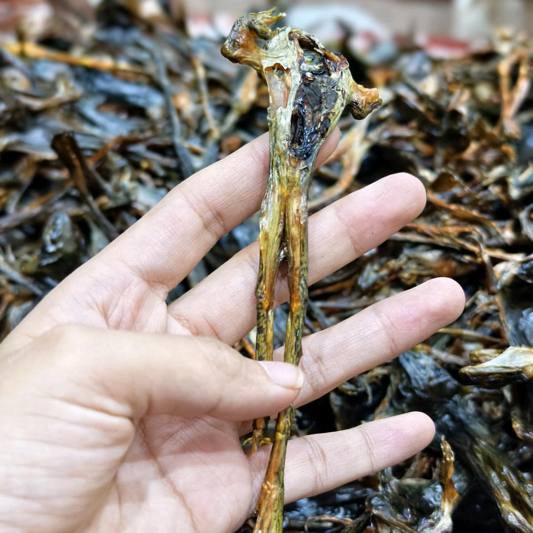 食掌柜