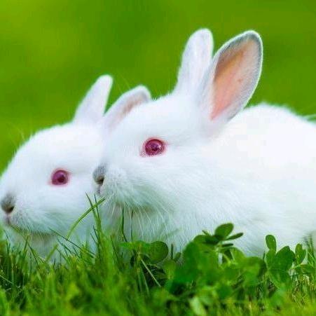 长久相伴老刘装修