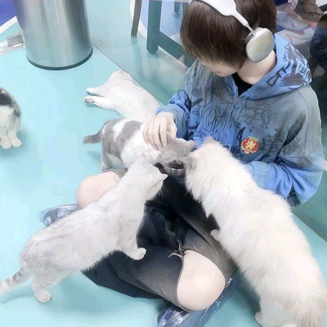 不见卿来念无期
