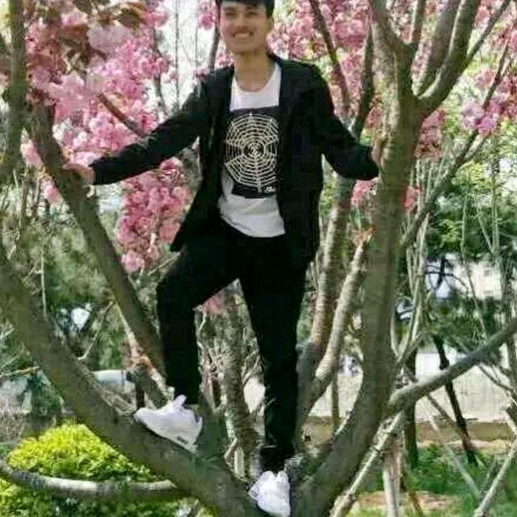 我是万事如意
