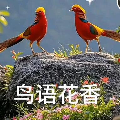 秋不落叶