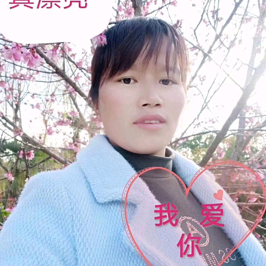 小燕子