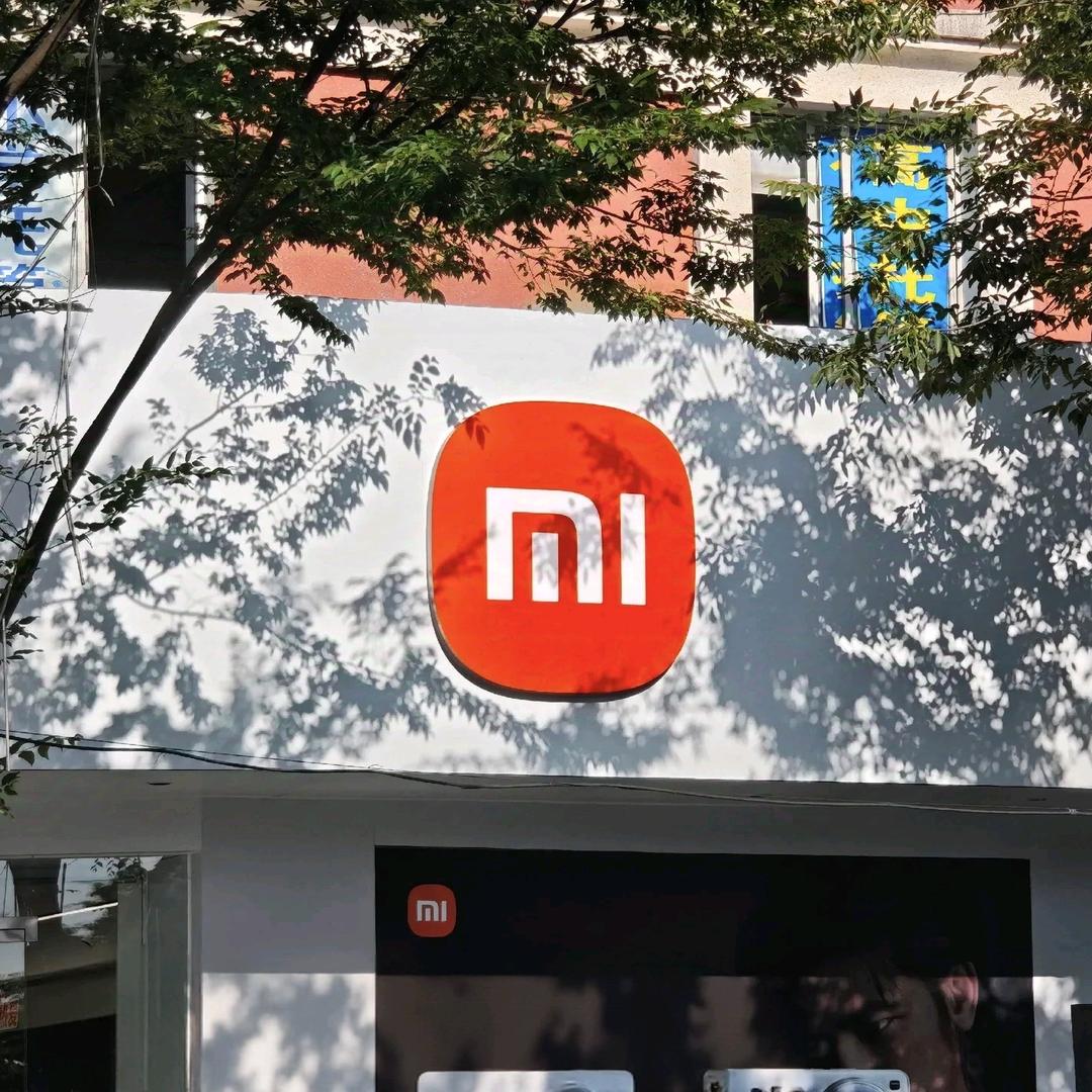 为小米奋斗终身