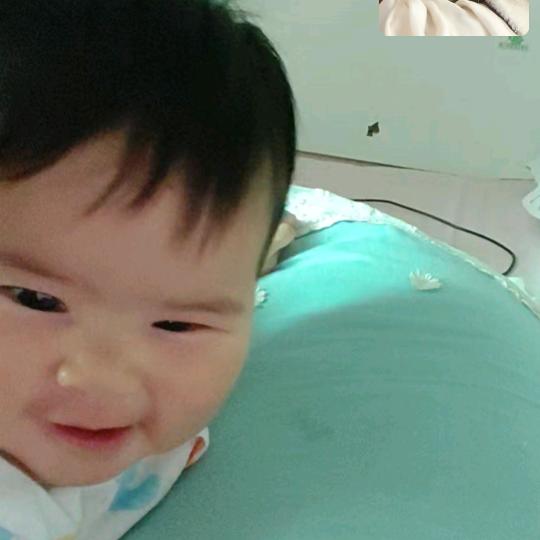 燕儿飞