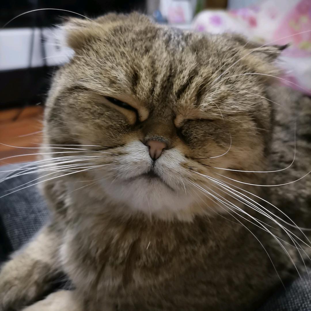 乐仔Lazy