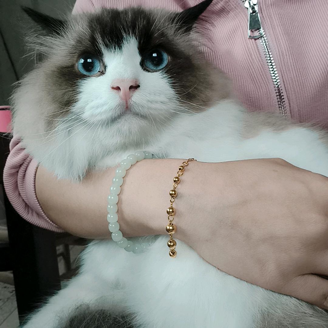 ღ小土豆🥔🌟