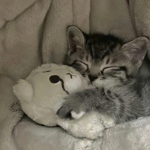 维生素二十四节气