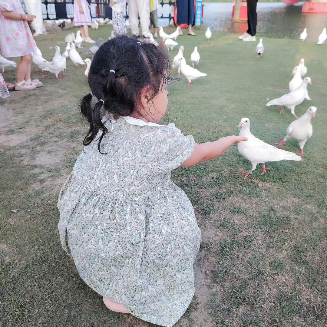 菜菜╮