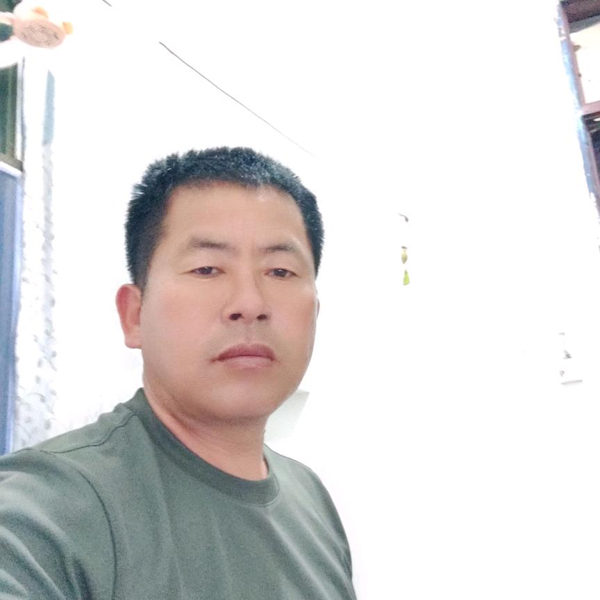秋天的树叶