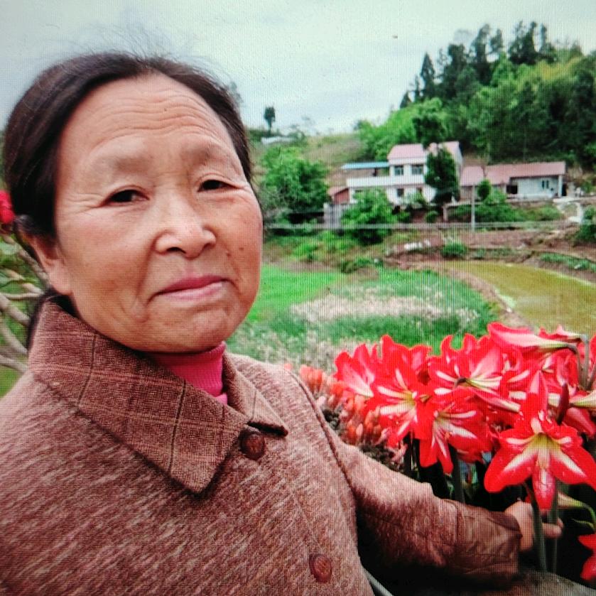 陈姐（每天下午1点开播）