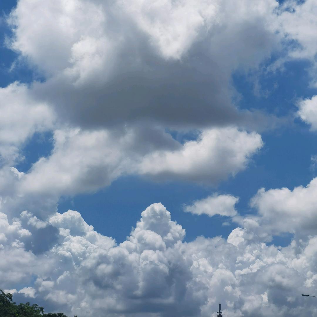 额额额额额额额额额额额