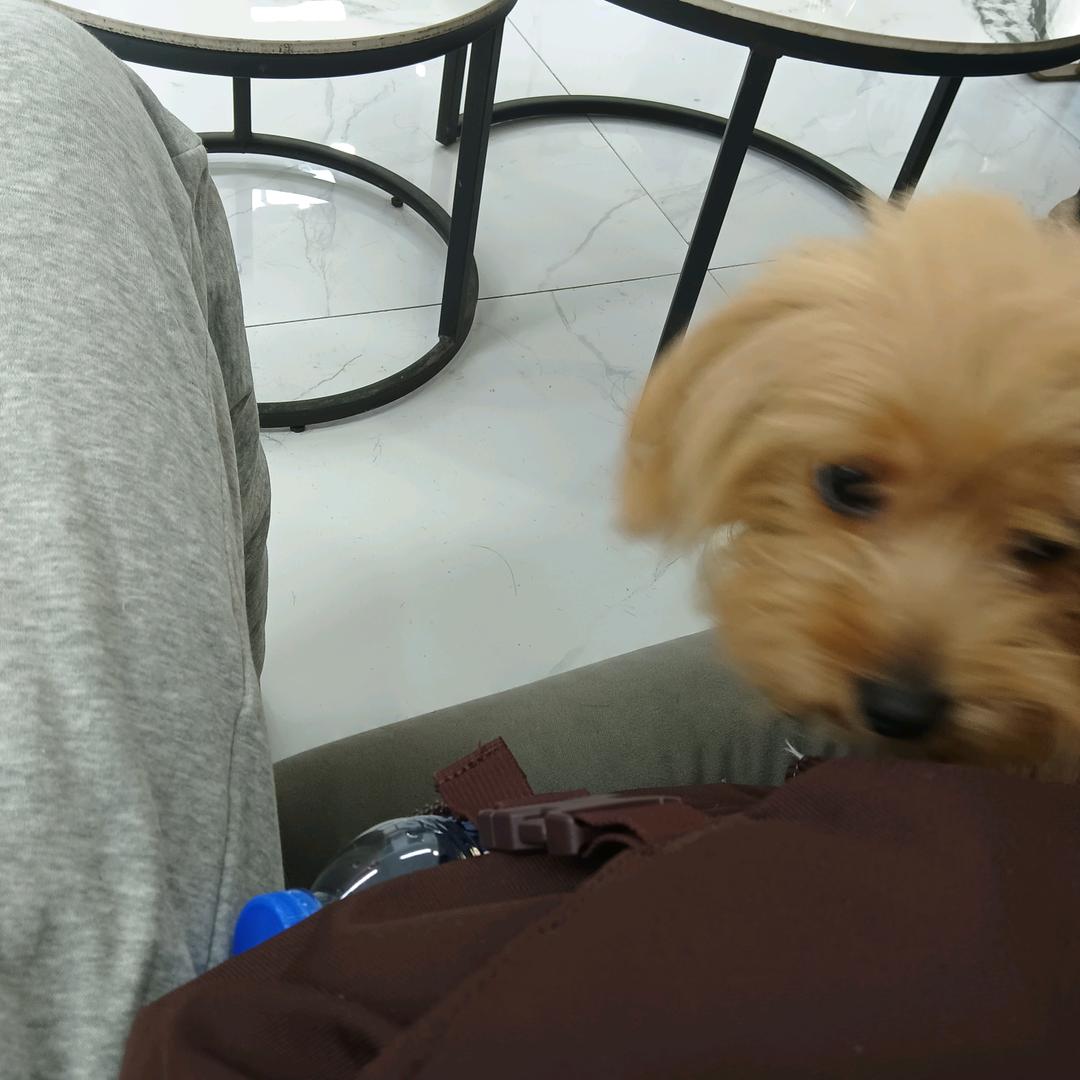 01010101010101010101