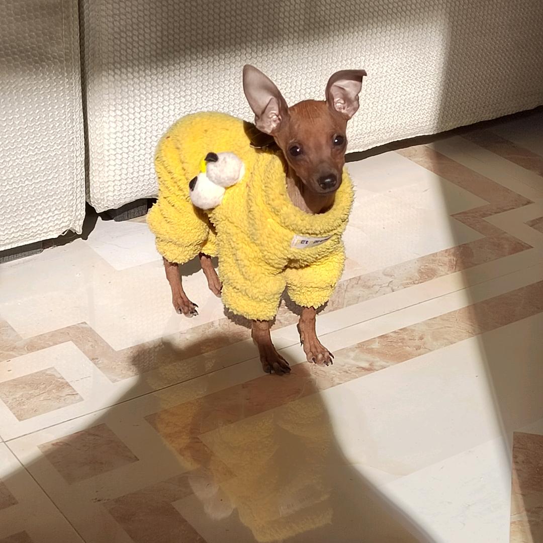 倩倩💕