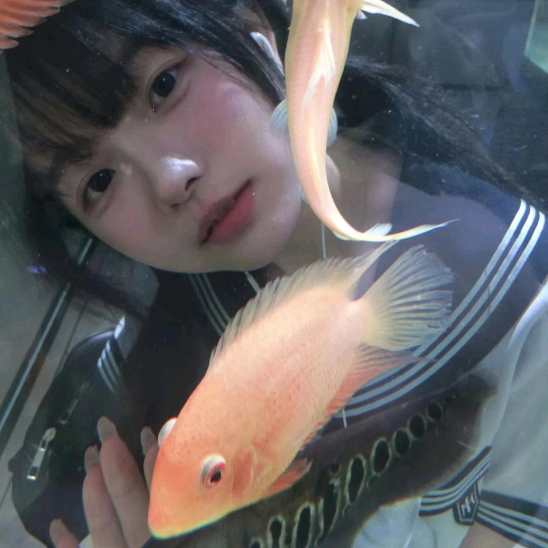 阿思🌻