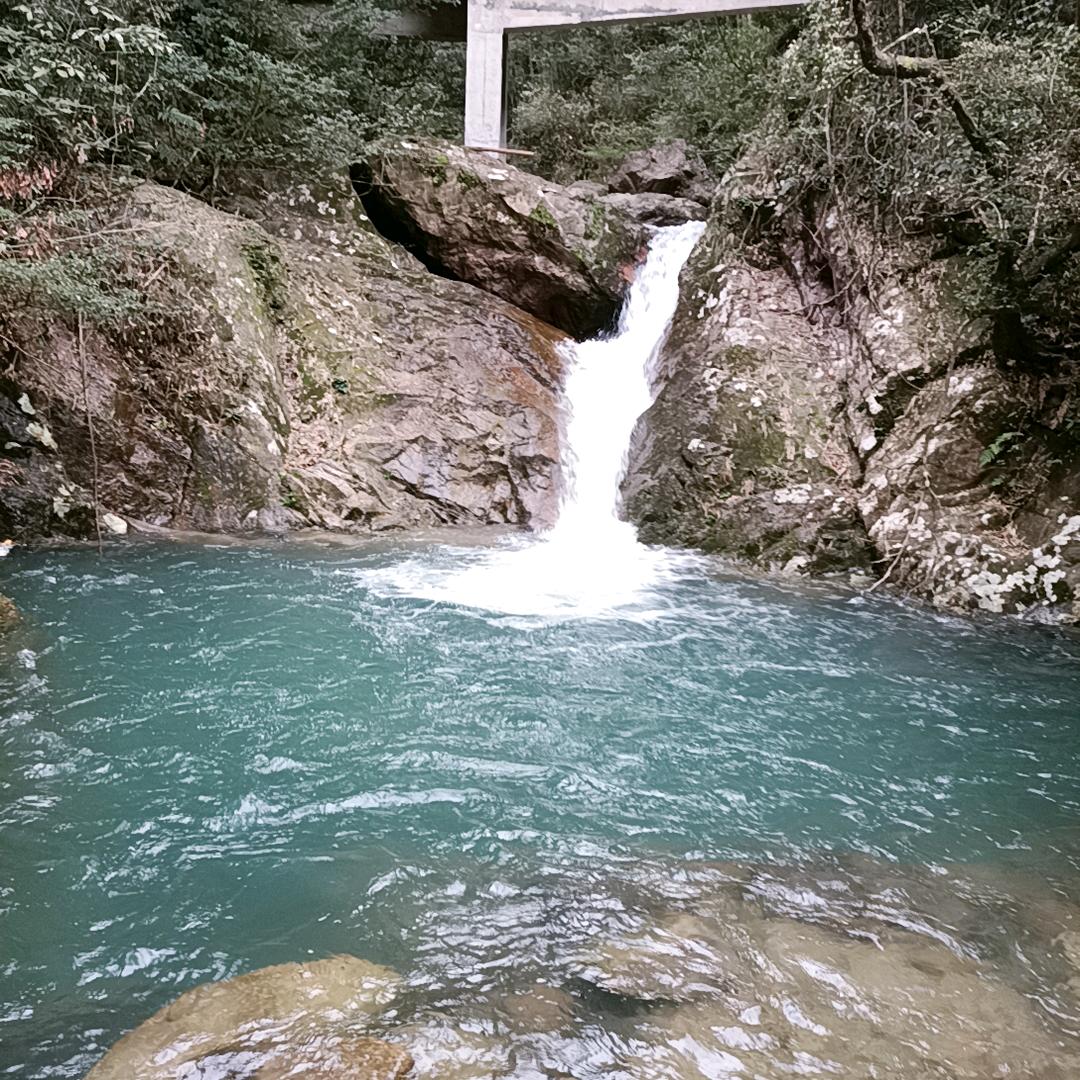 走走停停