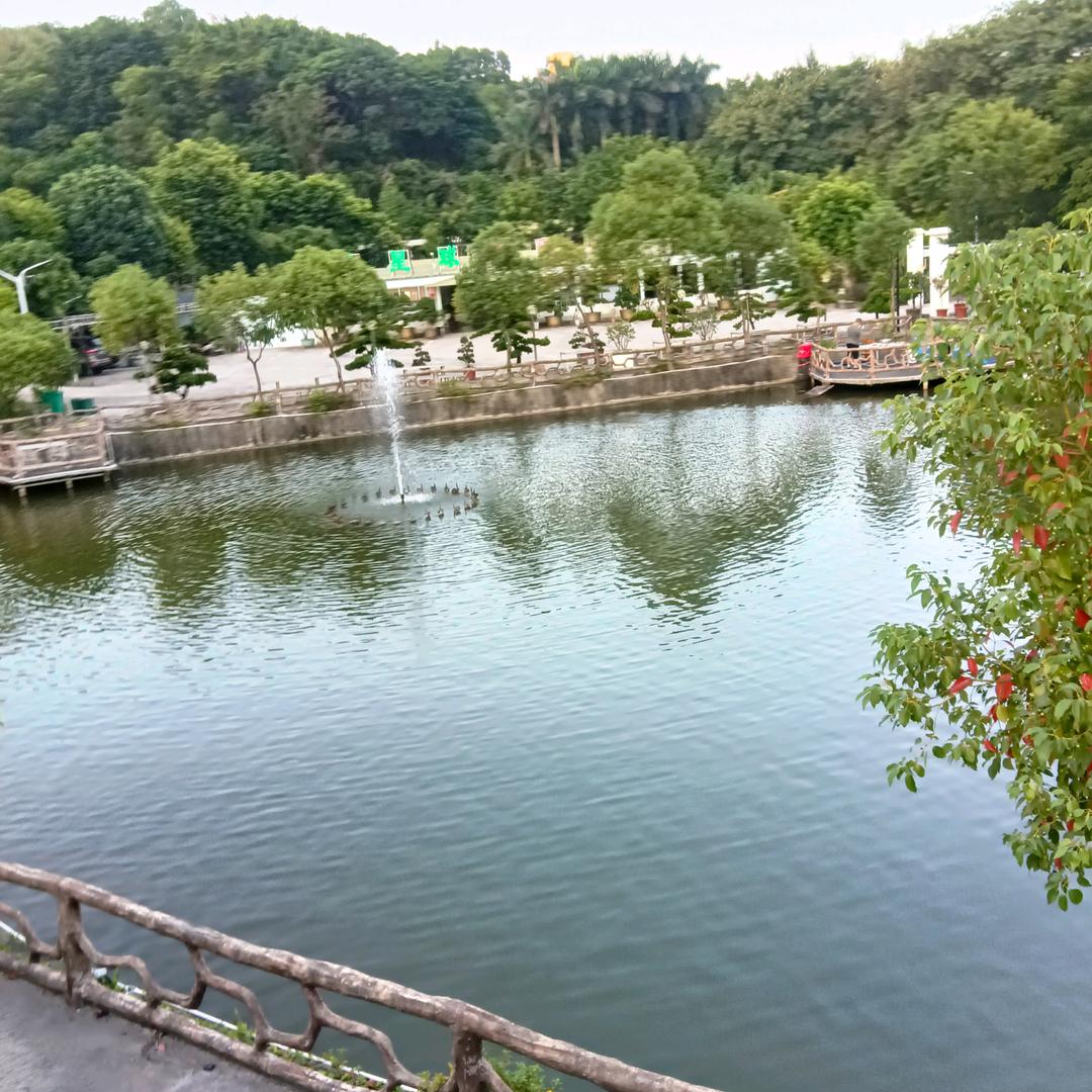 青春