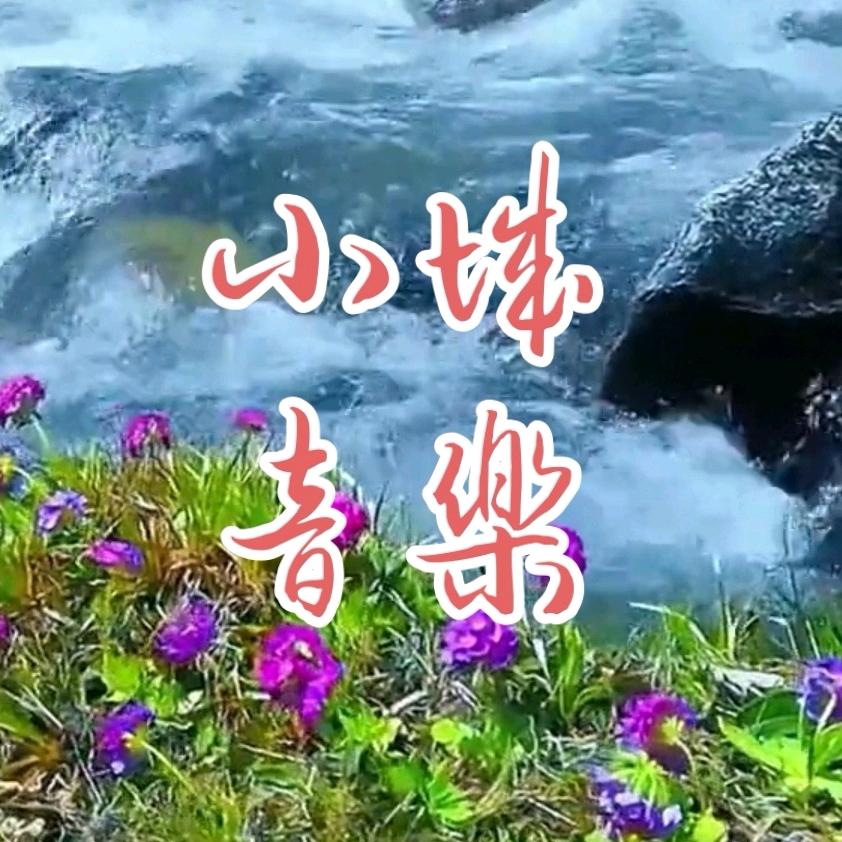 小城音乐