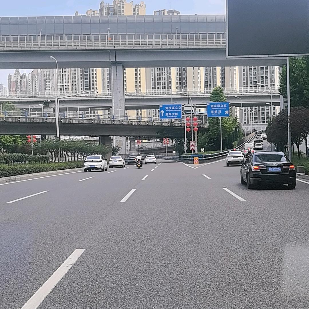 会飞的猪
