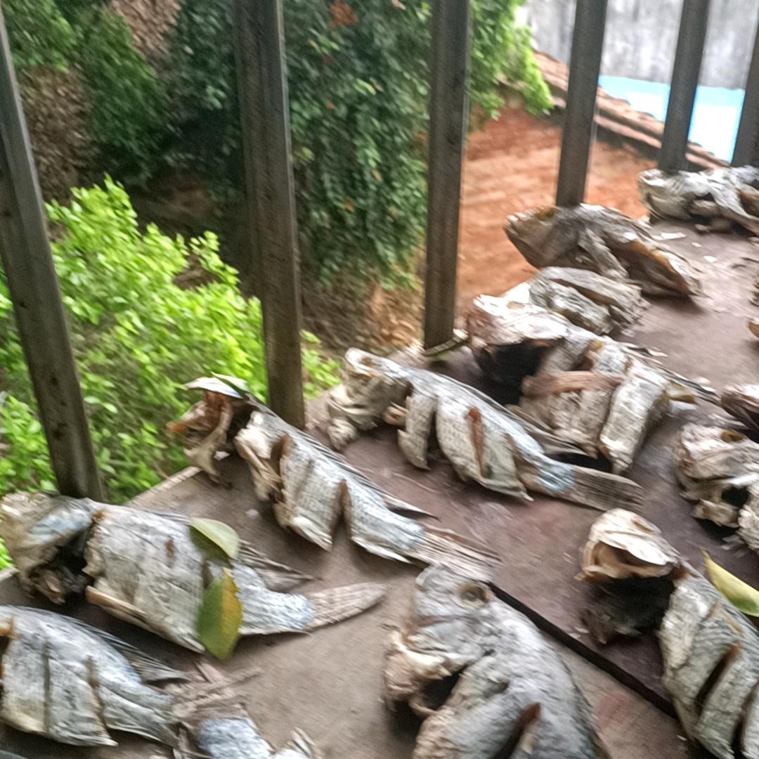 元南瓜雄杨永江