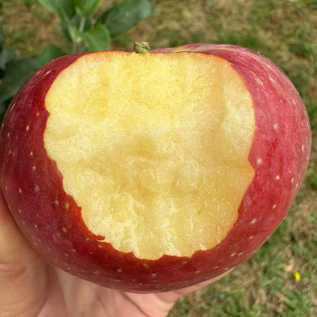 农人会会优品小铺