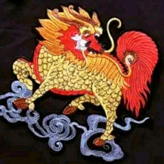 陆玉米