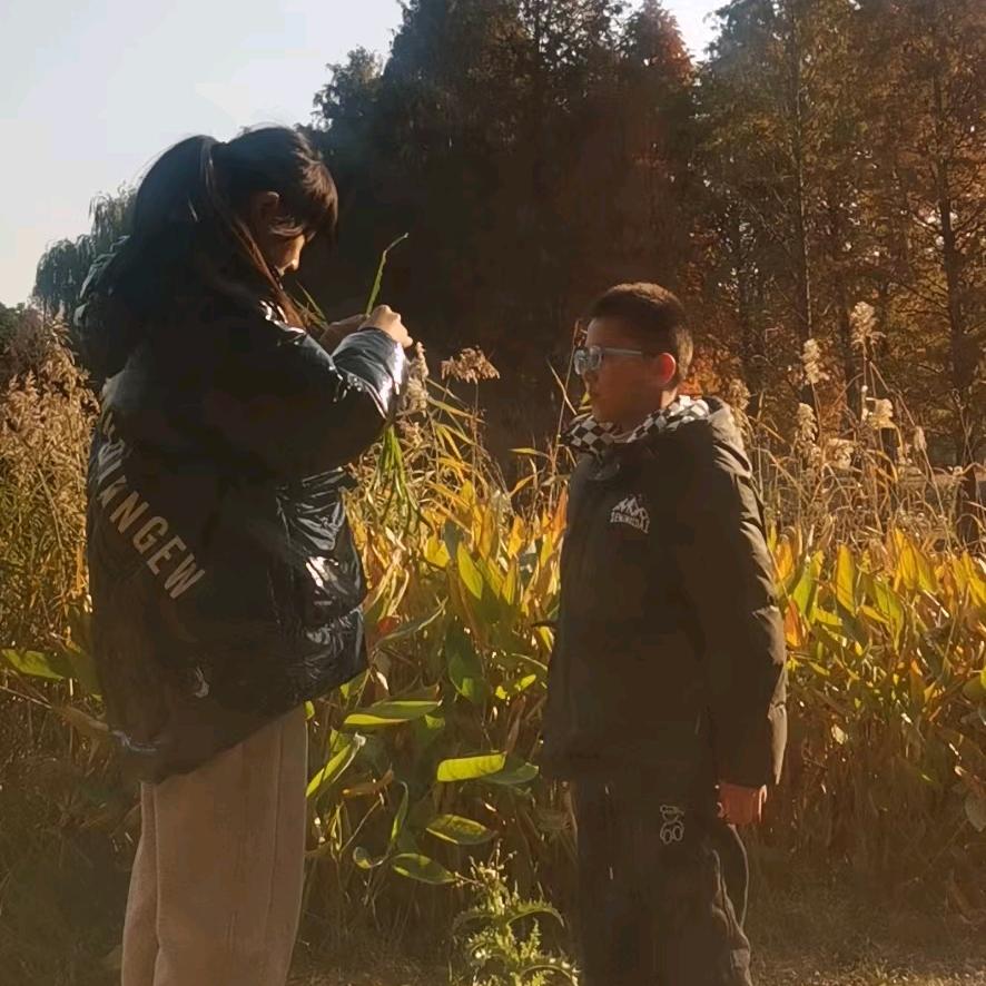 豌豆、