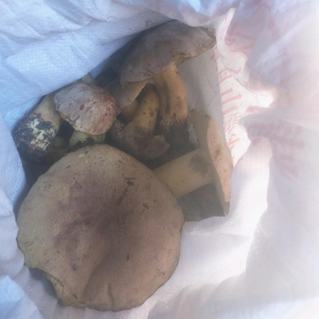 叶玉林