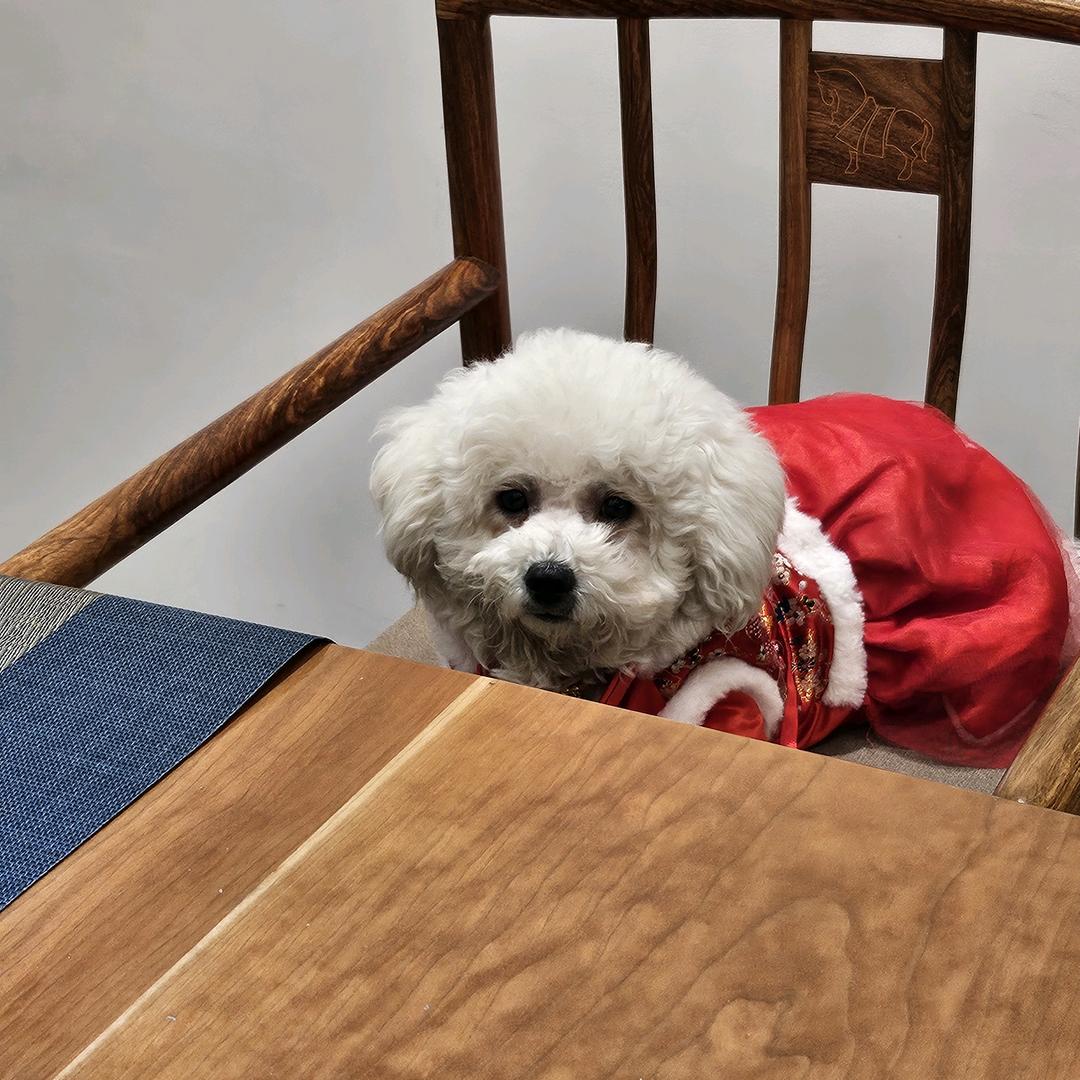 雪球米莉家长