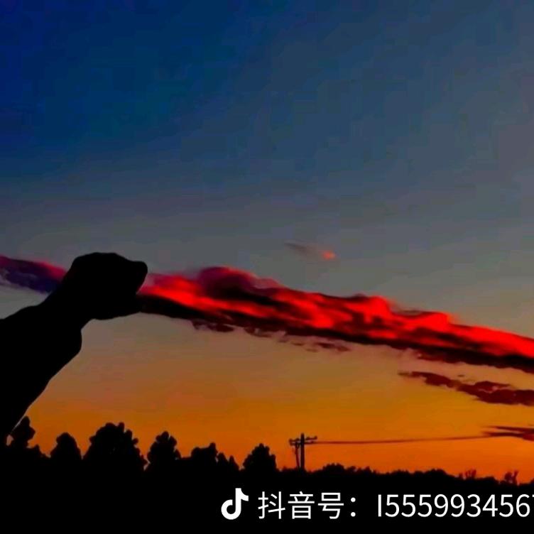 寻找9527
