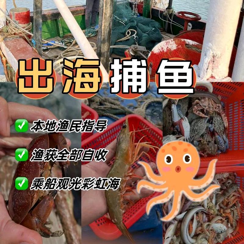 防城港出海捕鱼
