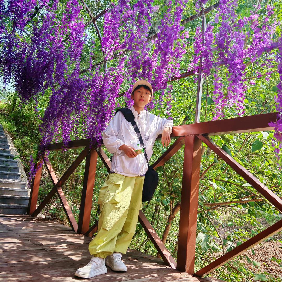 桐宝妈咪
