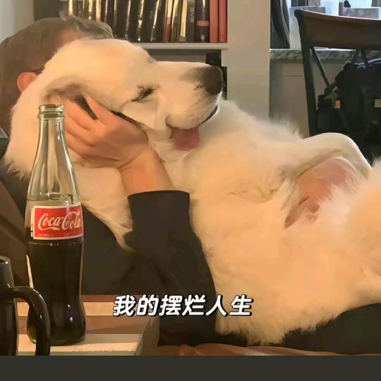 过夜柠檬水